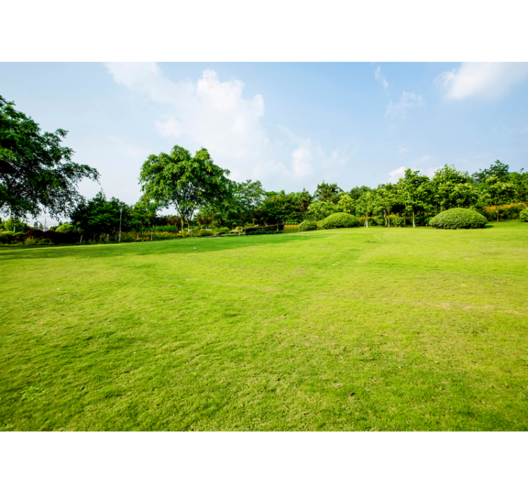 Yeşil çayır doğa duvar resmi - TenStickers