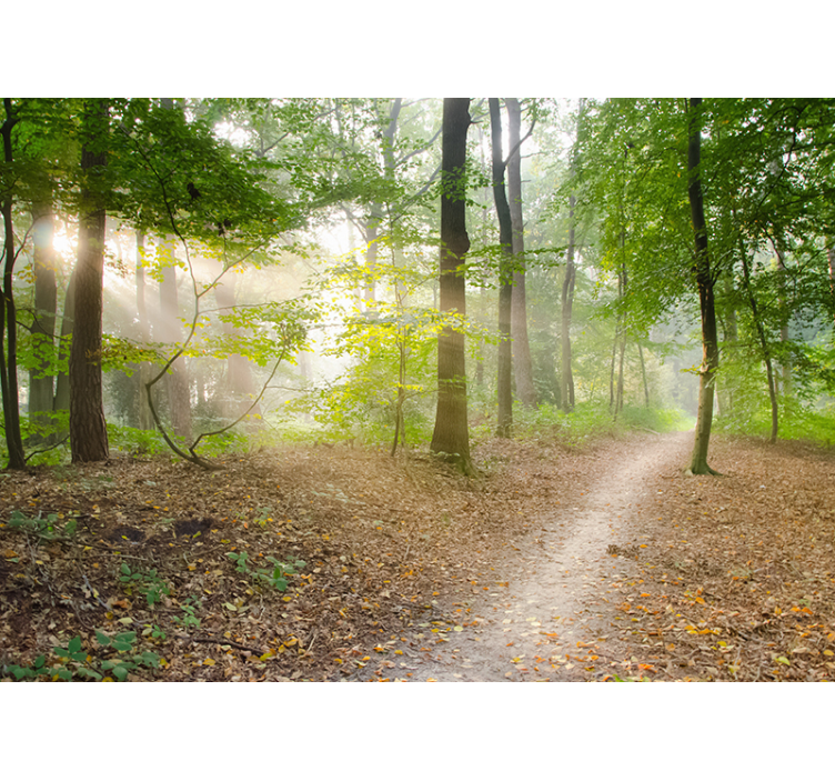 çarpıcı orman duvar resmi - TenStickers