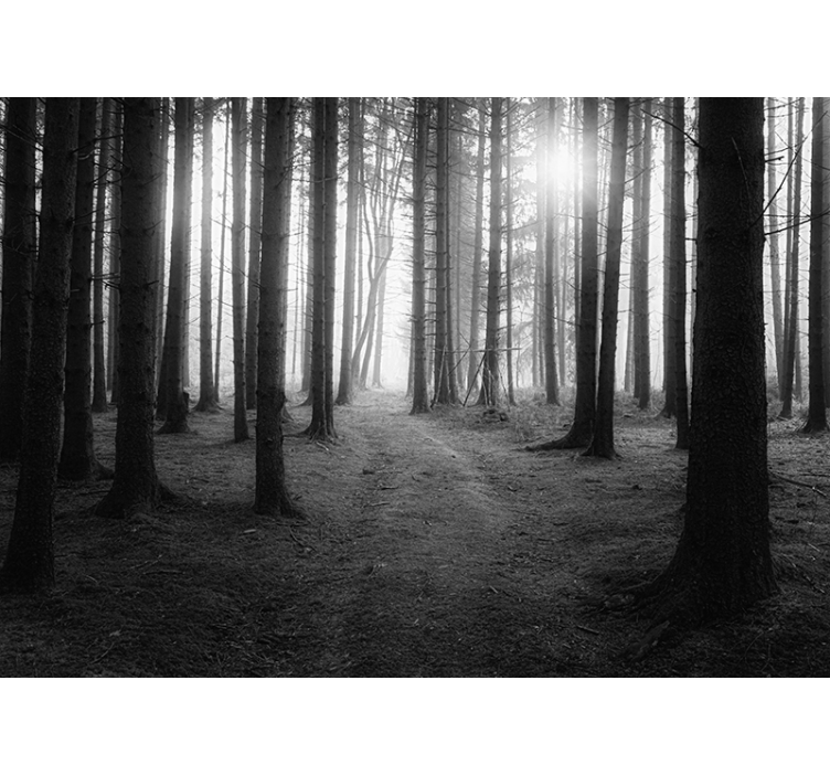 Sizin için gri orman duvar resmi - TenStickers