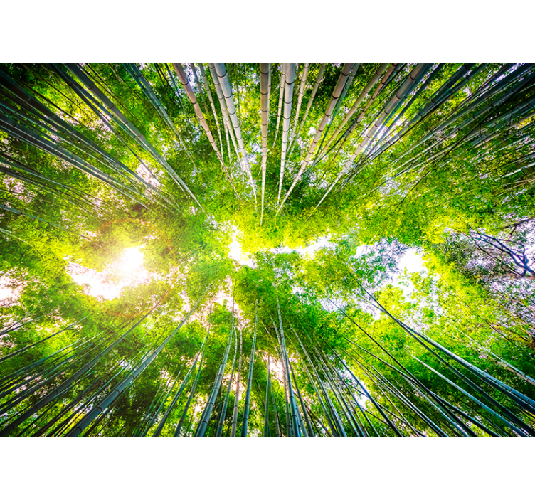 Bambu manzara duvar resmi - TenStickers