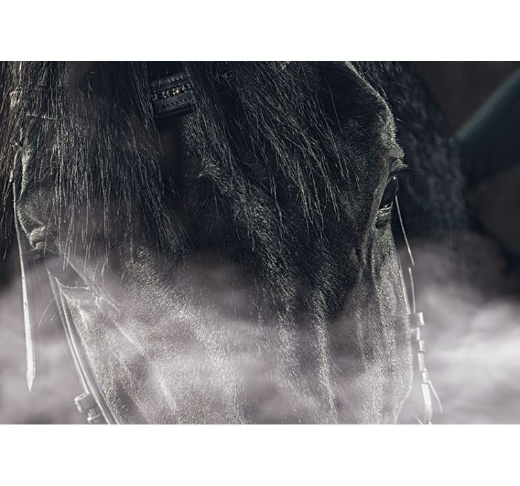 Sisten siyah at duvar resmi - TenStickers