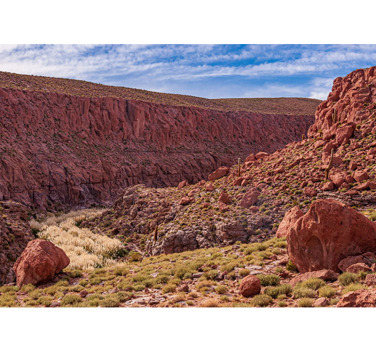 Atacama çöl duvar resmi - TenStickers