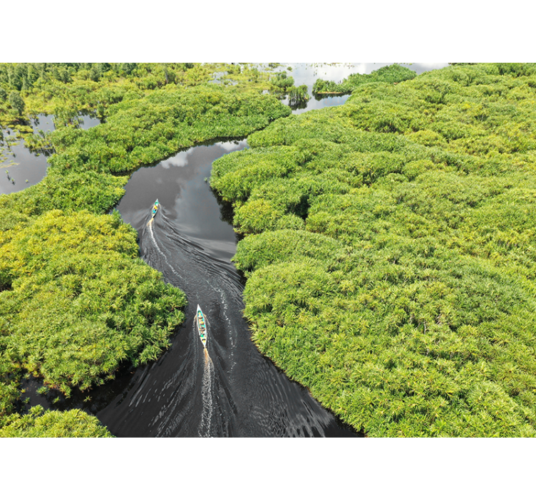 Amazon nehri doğa duvar resmi - TenStickers