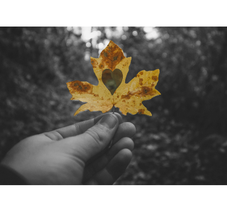 Bir kalp ile yapraklar duvar resmi - TenStickers