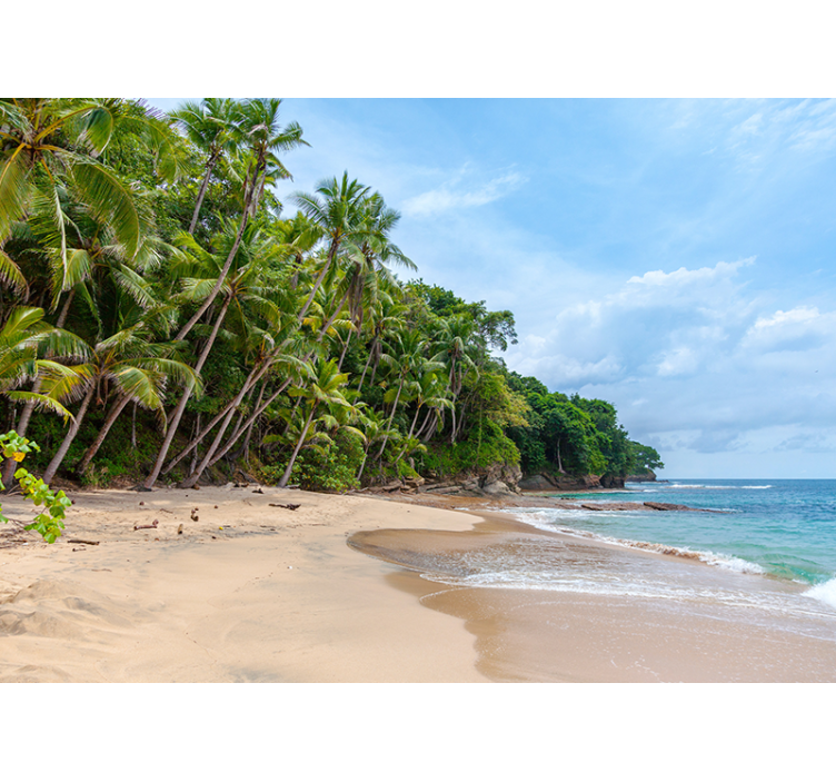 Doğa duvar resim tropikal kıyı vahanesi - TenStickers