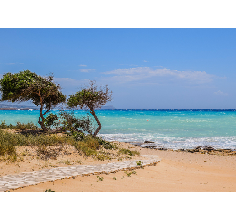 Sakin sahne yolu deniz duvar resim - TenStickers