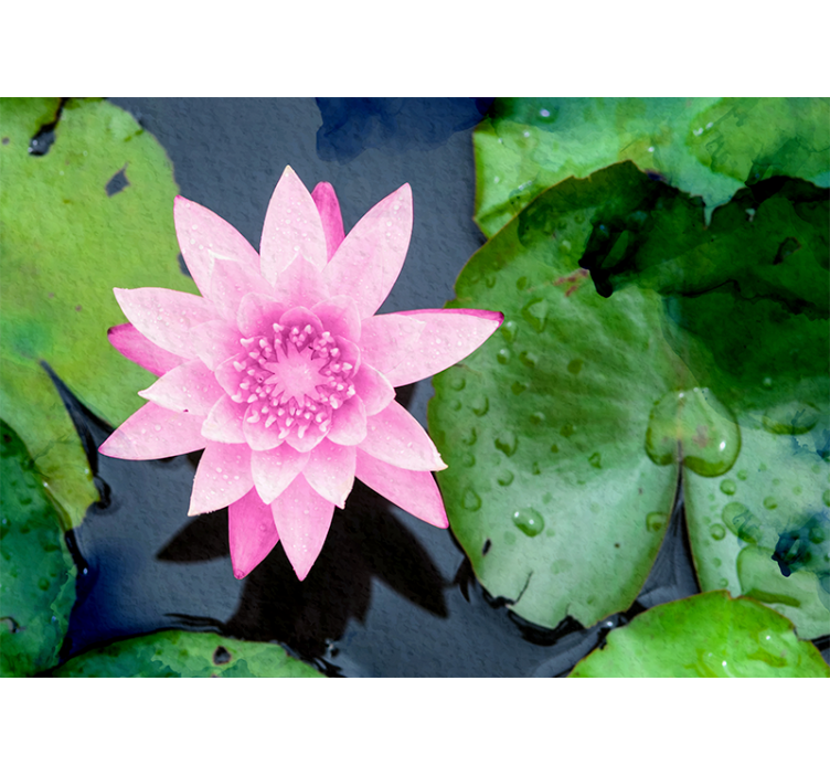 Pembe lotus çiçeği duvar resmi - TenStickers