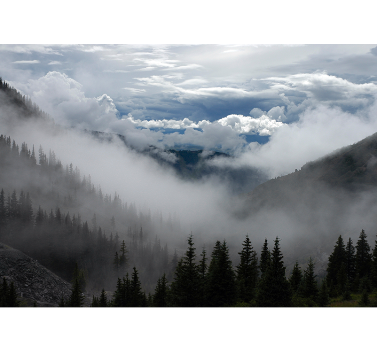 Geniş orman manzaralı orman duvar kağıdı - TenStickers