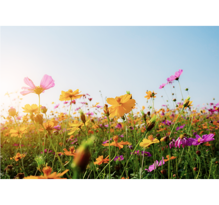 çiçek çeşitleri duvar kağıdı - TenStickers