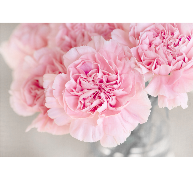 Birçok pembe karanfil gri arka plan duvar kağıdı - TenStickers