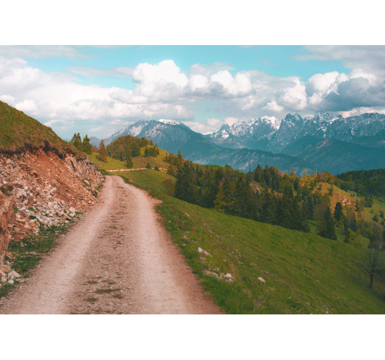 Bir orman ormanında yürümek duvar kağıdı - TenStickers