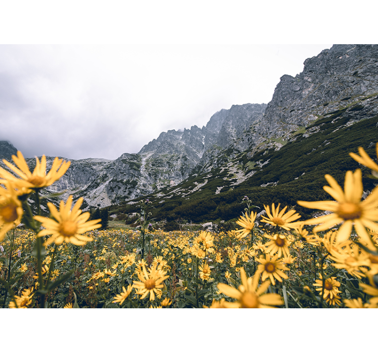 Dağlar ile bahar mevsimi duvar kağıdı - TenStickers