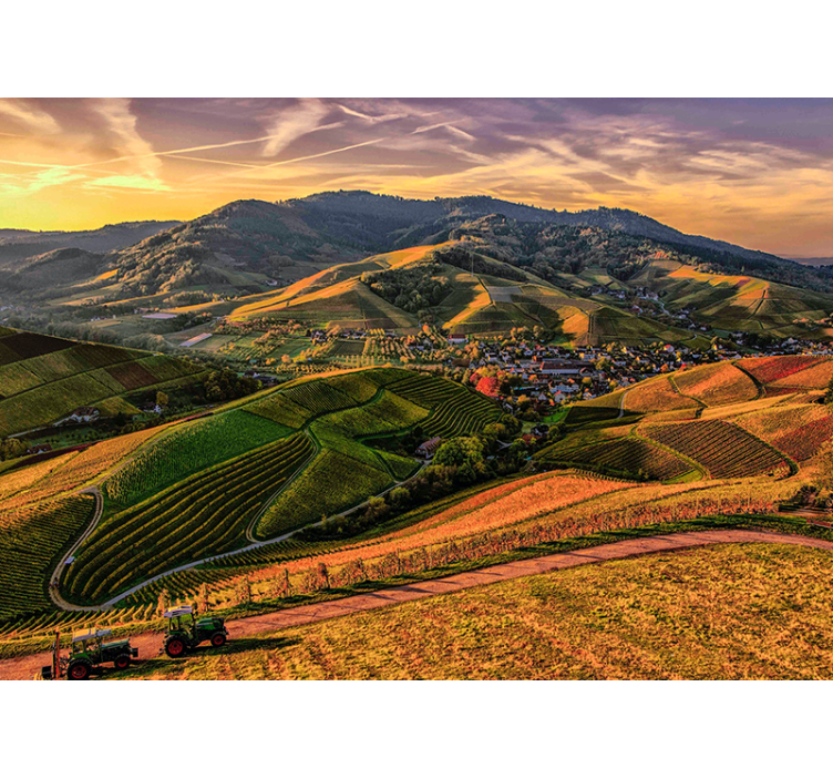 Yemyeşil bağ manzarası manzara duvar resim - TenStickers