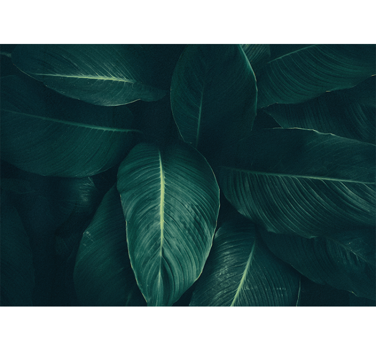 Büyük yeşil tropikal yapraklar doğa duvar kağıdı - TenStickers