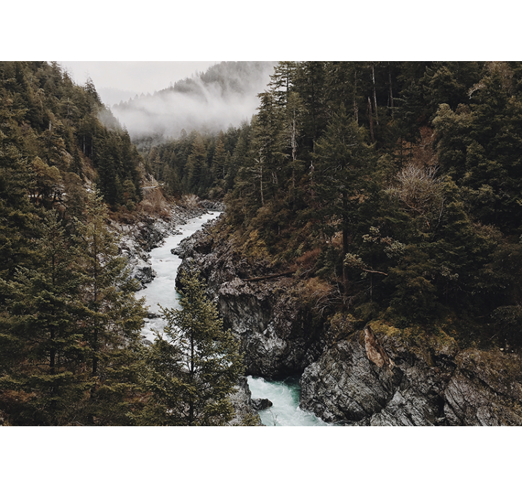 Doğa duvar resim Şahane nehir manzarası - TenStickers