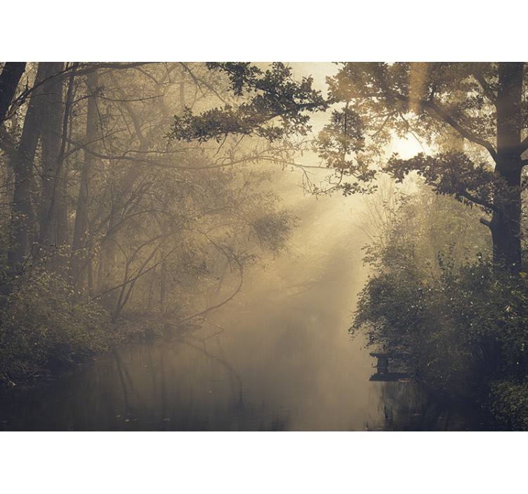 Güneş parlaması ile uzun boylu yeşil ağaçlar duvar kağıdı - TenStickers