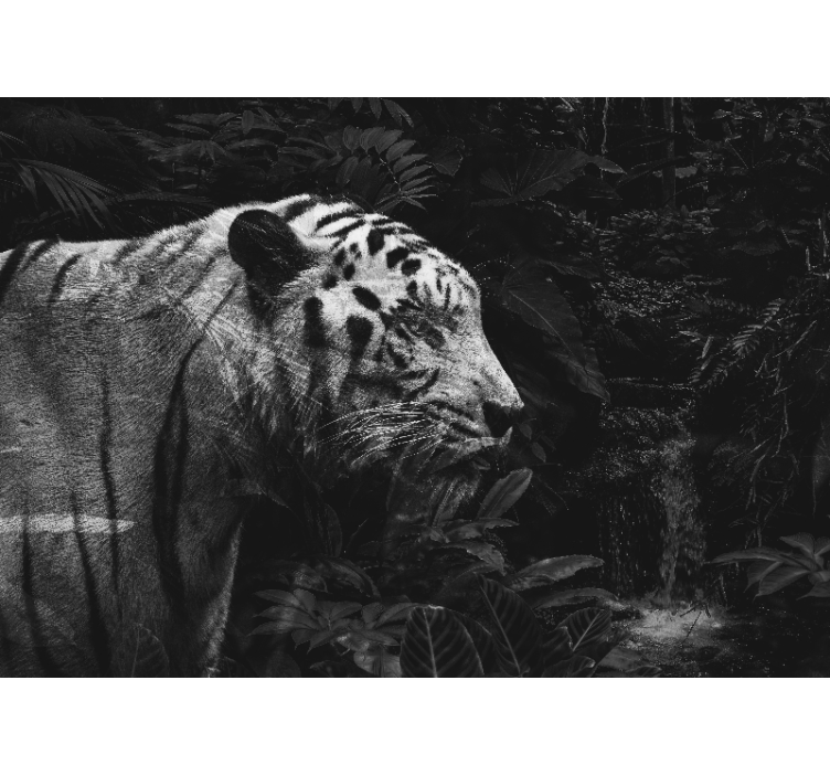 Beyaz jaguar oturma odası duvar kağıdı - TenStickers