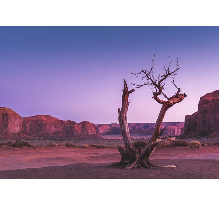 Manzara duvar resmi Çöl taş yapısı - TenStickers