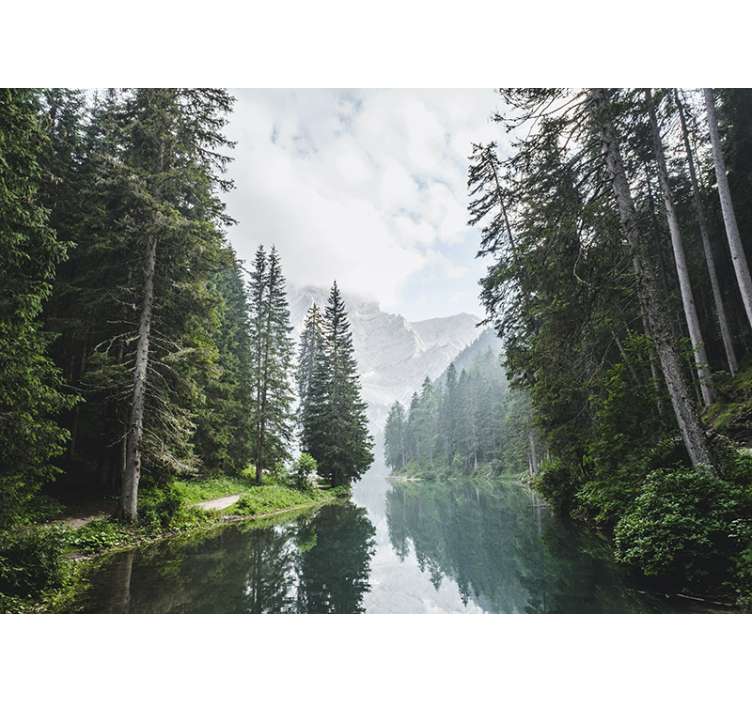 Kar yağan kış yansıyan göl doğa duvar kağıdı - TenStickers