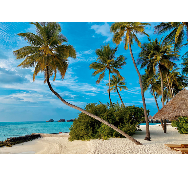 Doğa duvar resim tropikal palm manzarası - TenStickers