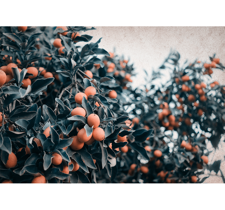 Çiçek duvar resmi - narenciye dalı - TenStickers