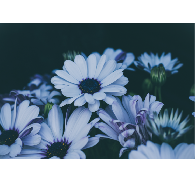 Çiçek duvar resim - sakin Çiçek düzeni - TenStickers