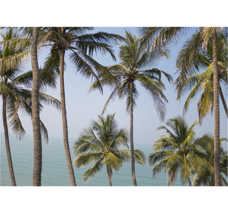 Doğa duvar resim palm ağaçları manzarası - TenStickers