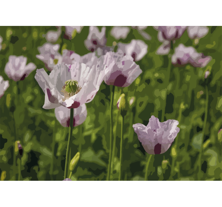 Haşhaş duvar resim Çiçeksel zarafet - TenStickers