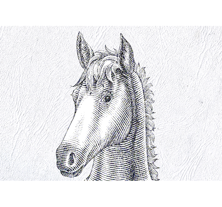 Hayvan duvar resmi - Şık at portresi - TenStickers