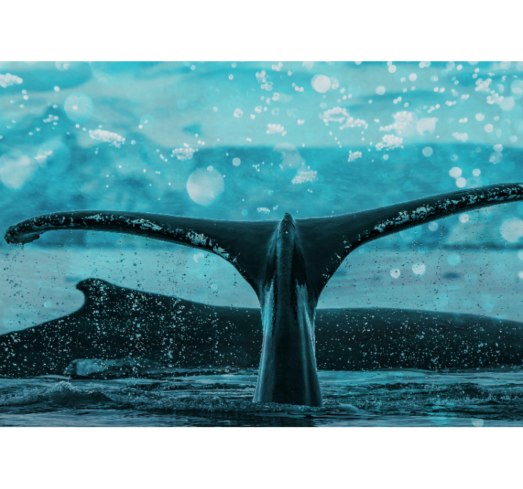 Hayvan duvar resmi - balina kuyruğu sıçraması - TenStickers
