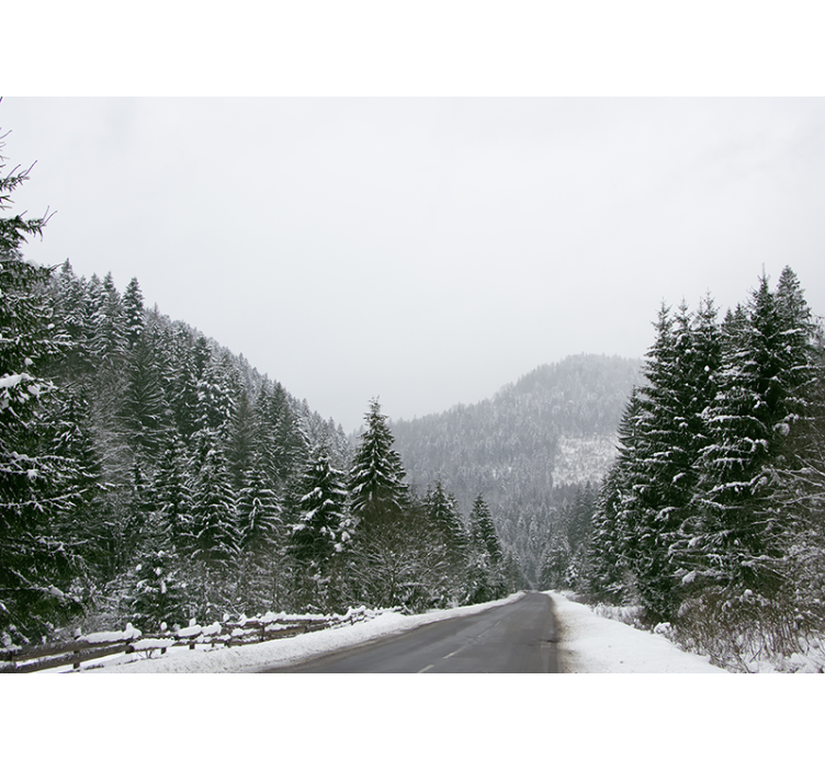 Ağaçlar arasında asfalt yol duvar kağıdı - TenStickers