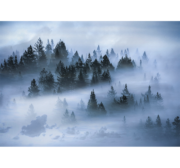 Doğa duvar resim hazy evergreen woods - TenStickers