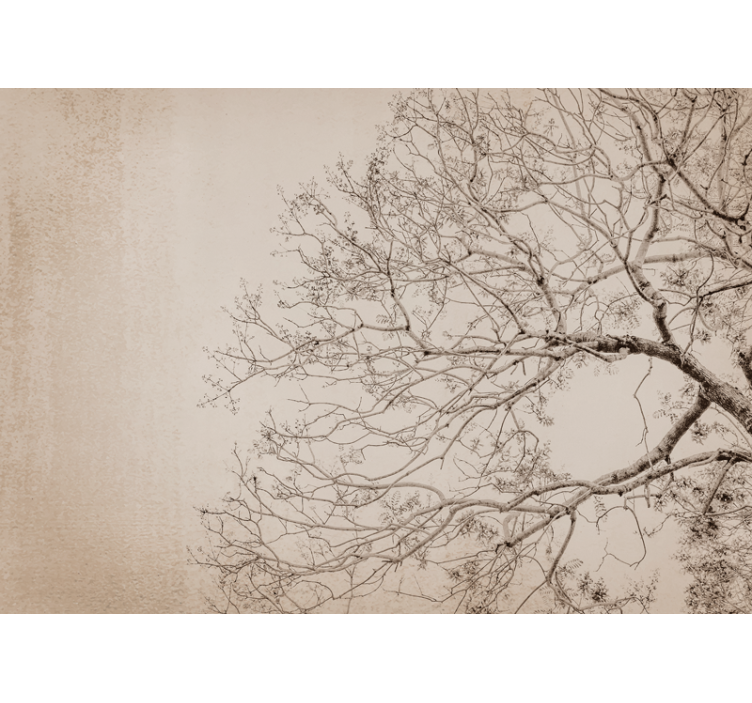 Ağaçlar duvar resim güzel dallanan silüet - TenStickers