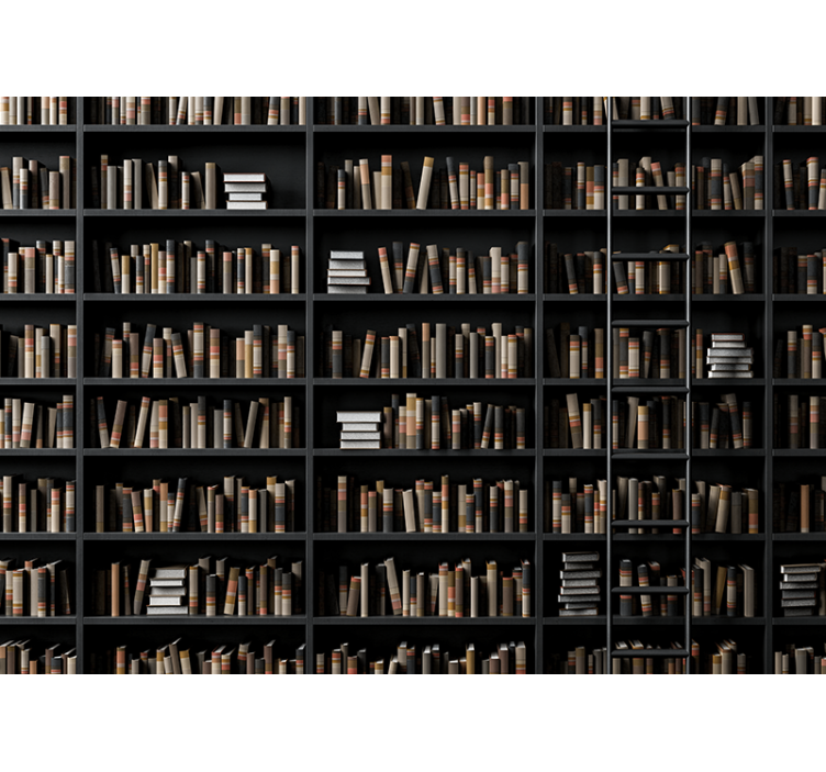 Kitaplık optik illüzyon 3d duvar kağıdı - TenStickers
