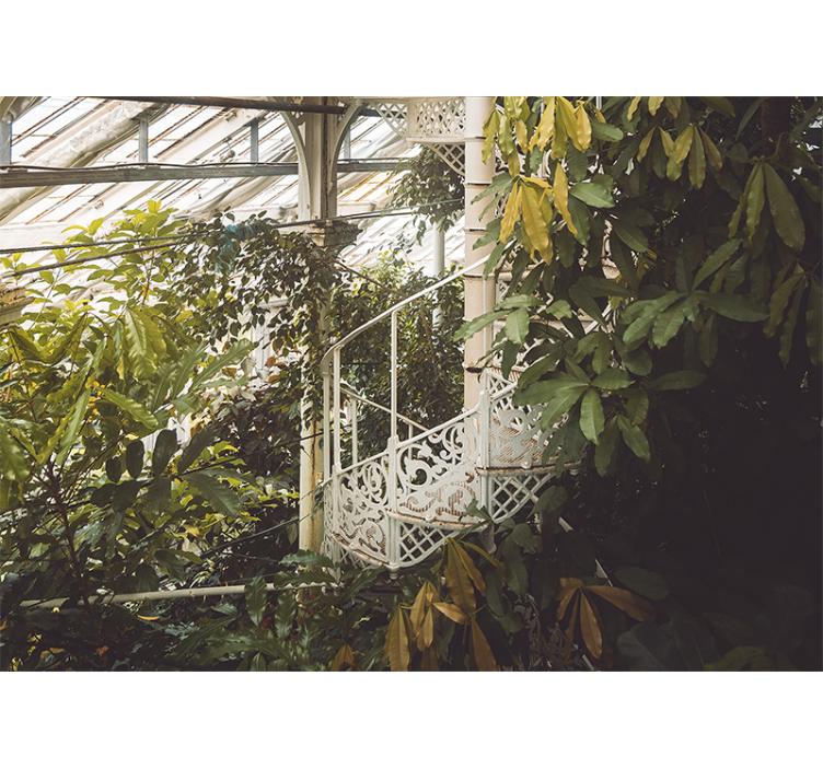 Doğa duvar resim lush greenery oasis - TenStickers