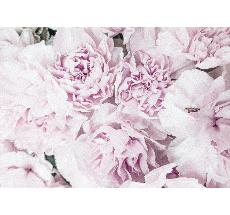 Çiçek duvar resim soft pink blooms - TenStickers