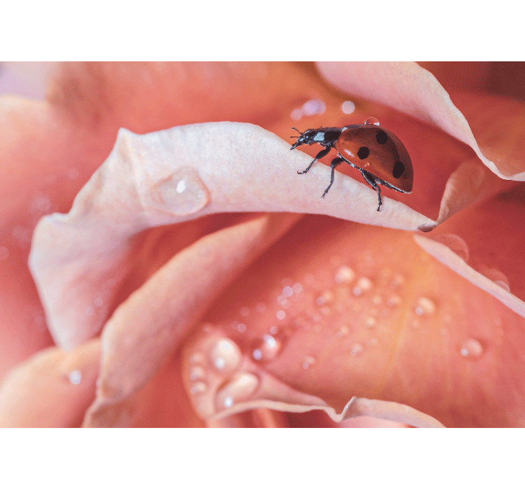 Zarif stil pembe çiçek uğur böceği duvar kağıdı - TenStickers