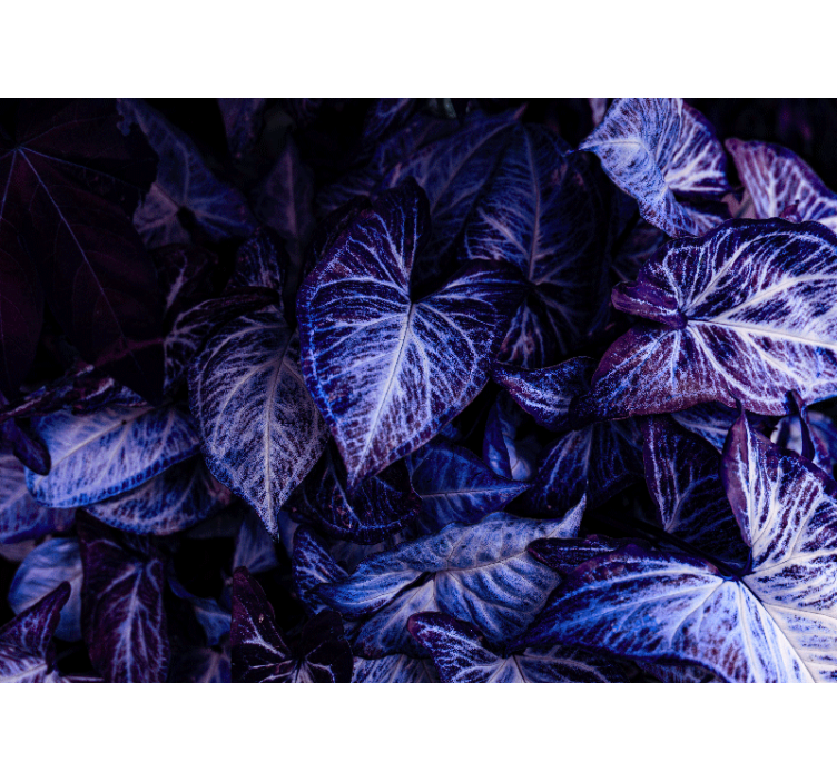 Mor yaprak desenleri oturma odası duvar reslim - TenStickers