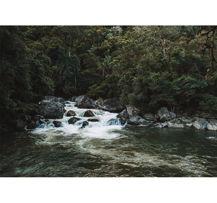 Sakin nehir manzarası doğa duvar resim - TenStickers