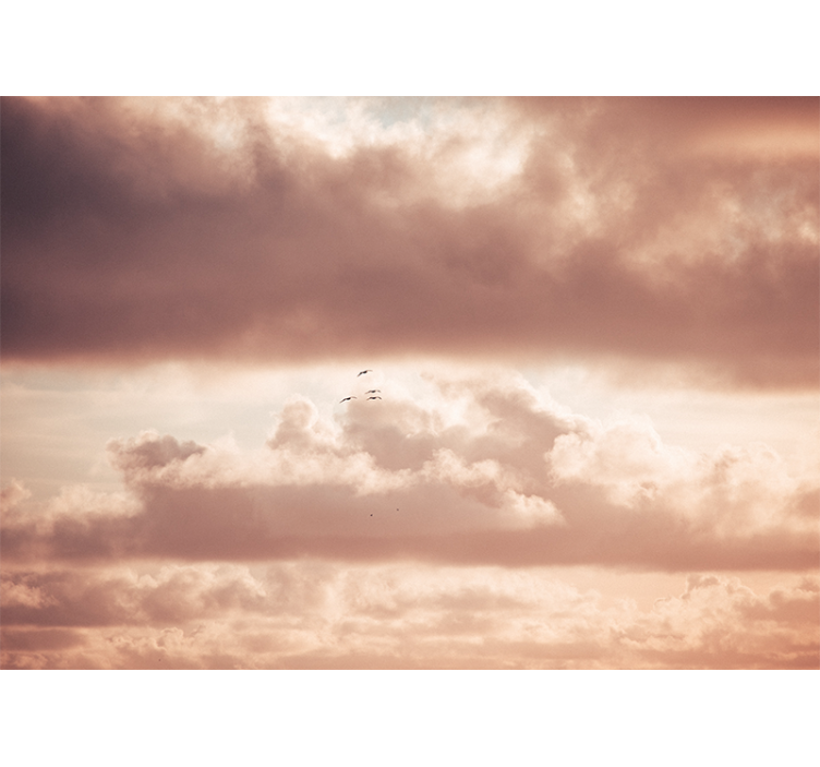 Allık bulutlar oturma odası duvar resmi - TenStickers