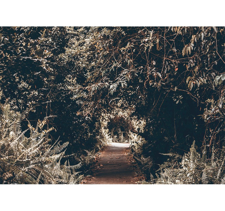 Doğa duvar resim orman patika yolu - TenStickers