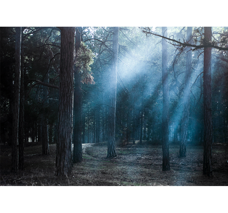 Ormanda "doğa" alacakaranlık duvar kağıdı - TenStickers