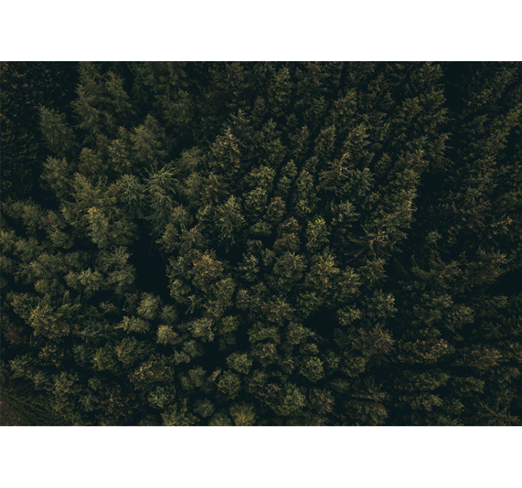 Doğa duvar resmi - göz alıcı yeşil Çatı - TenStickers