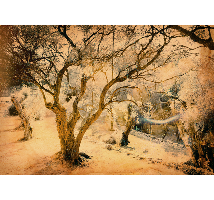 Zeytin ağacı detaylı duvar resmi - TenStickers