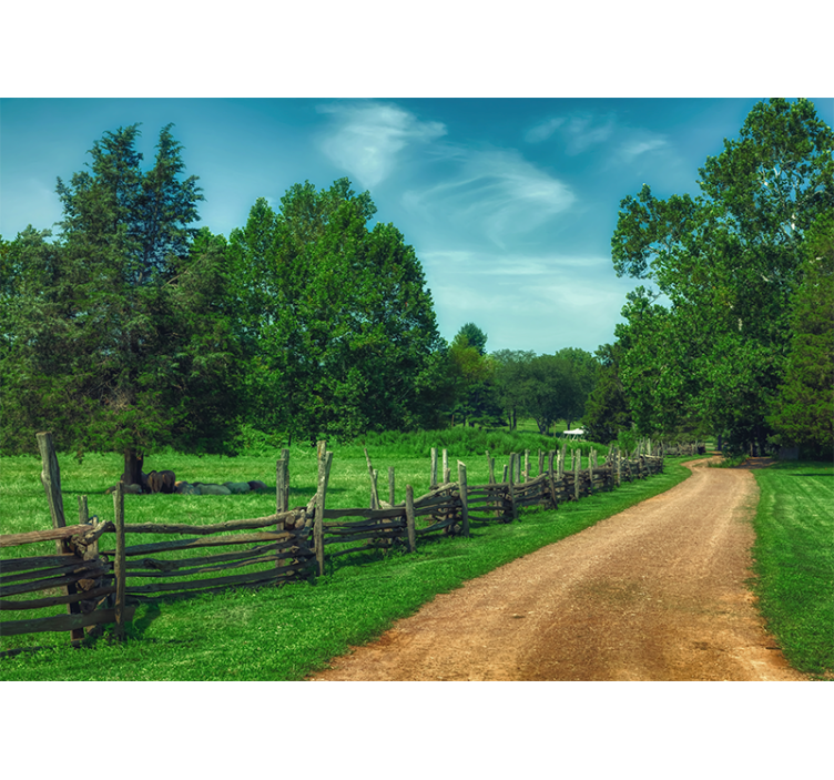 Manzara duvar resim yeşil yürüyüş yolu - TenStickers