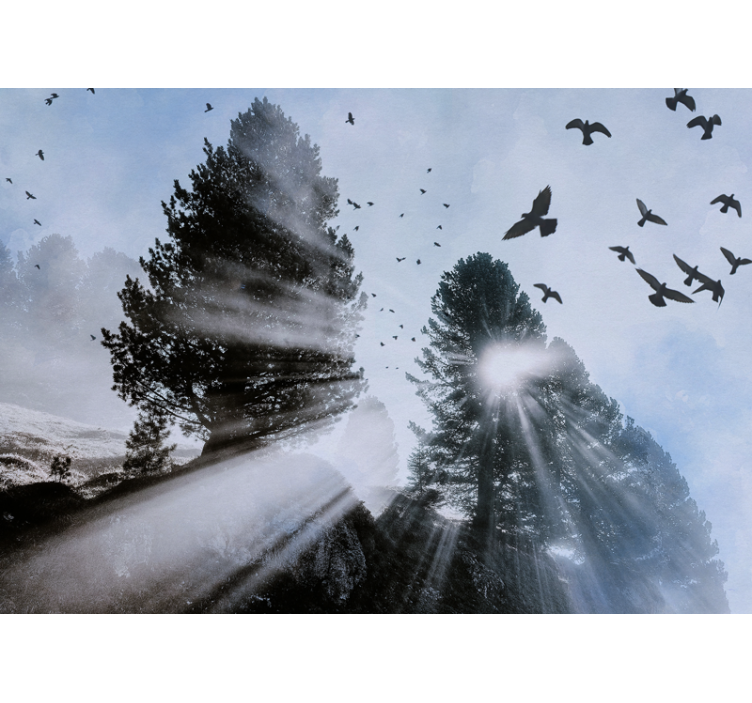 Kuşlarla ışıldayan orest ışınları orman duvar resim - TenStickers