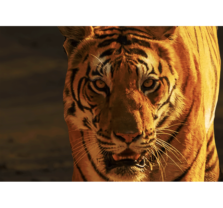 Tehditkar ve kızgın kaplan duvar resmi - TenStickers