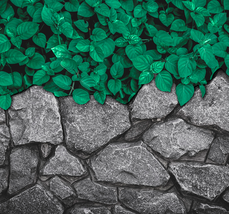 Yapraklar ve taşlarYapraklar ve taşlar oturma odası duvar halısı - TenStickers