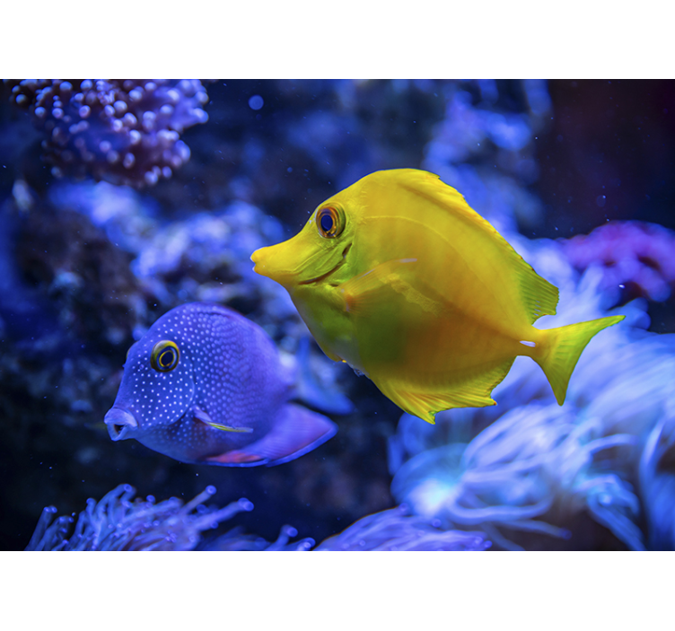 Mavi ve sarı balıklar deniz duvar resmi - TenStickers