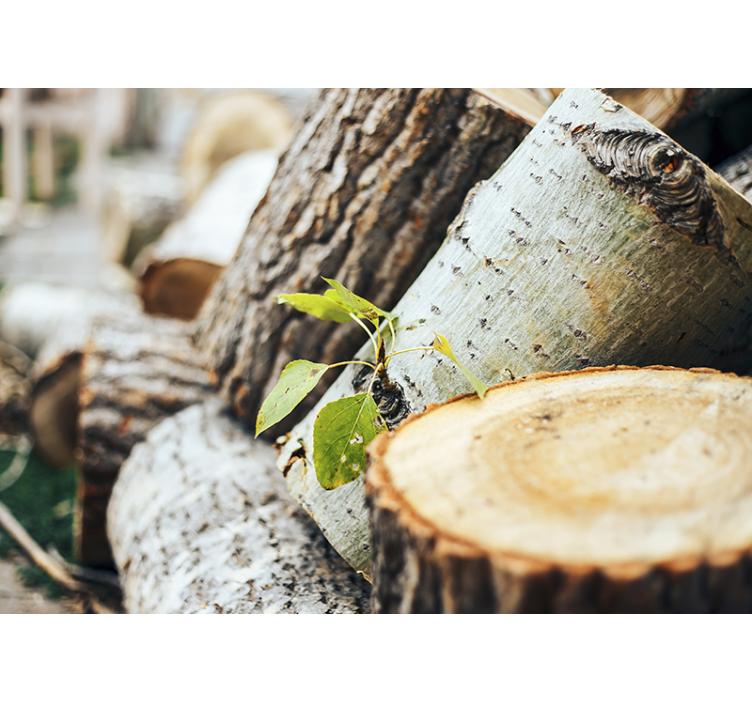 Yeşil yaprakları orman ahşap ağaç duvar resmi - TenStickers